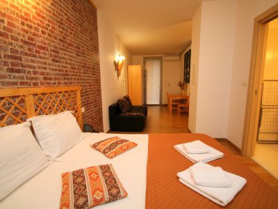 Apartament Rustic - Comfort Apartments Timisoara - Cazare TImisoara - Comfort-Apartments.ro