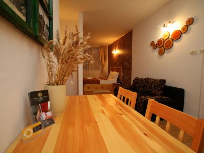 Apartament Rustic - Comfort Apartments Timisoara - Cazare TImisoara - Comfort-Apartments.ro