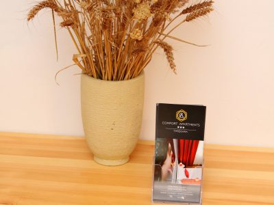 Apartament Rustic - Comfort Apartments Timisoara - Cazare TImisoara - Comfort-Apartments.ro