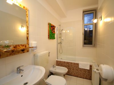 Apartament Rustic - Comfort Apartments Timisoara - Cazare TImisoara - Comfort-Apartments.ro