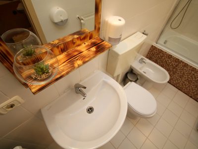 Apartament Rustic - Comfort Apartments Timisoara - Cazare TImisoara - Comfort-Apartments.ro