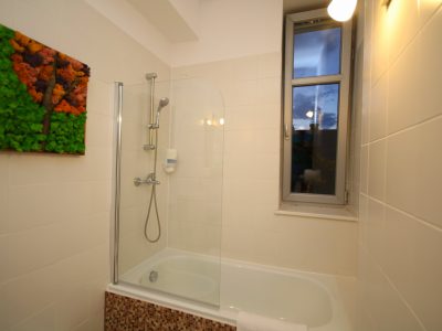 Apartament Rustic - Comfort Apartments Timisoara - Cazare TImisoara - Comfort-Apartments.ro