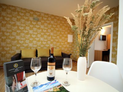 Apartament Brownie, Tisa 33, Complex Stundentesc, Timisoara, Comfort-Apartments