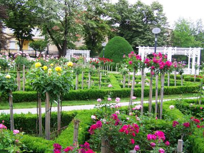 Parcul Rozelor din Timișoara