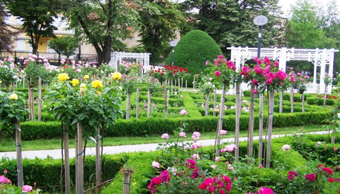 Parcul Rozelor din Timișoara